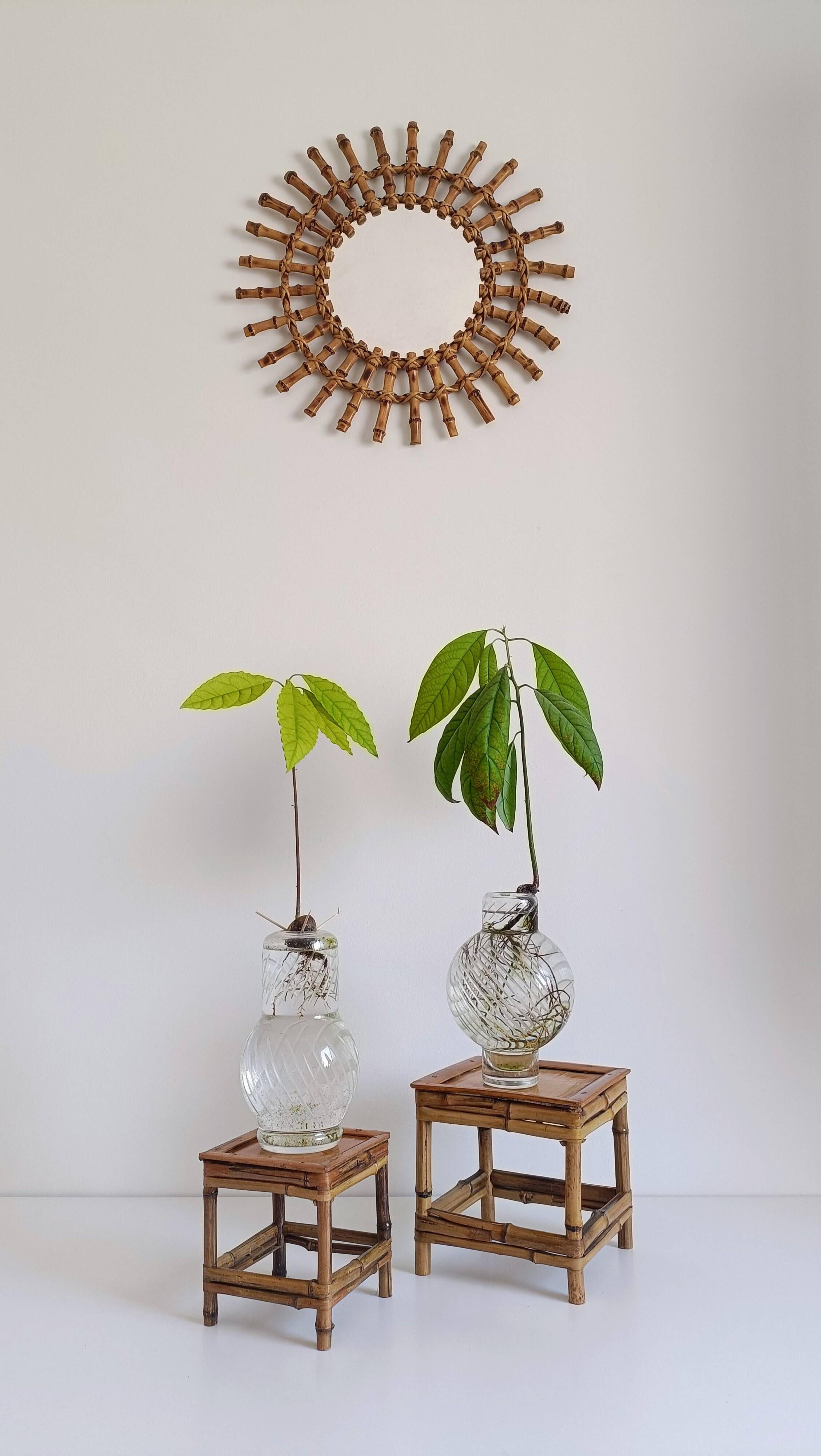 1950s Mid-Century French Bamboo and Wood Plant Pedestals, Hand-Crafted