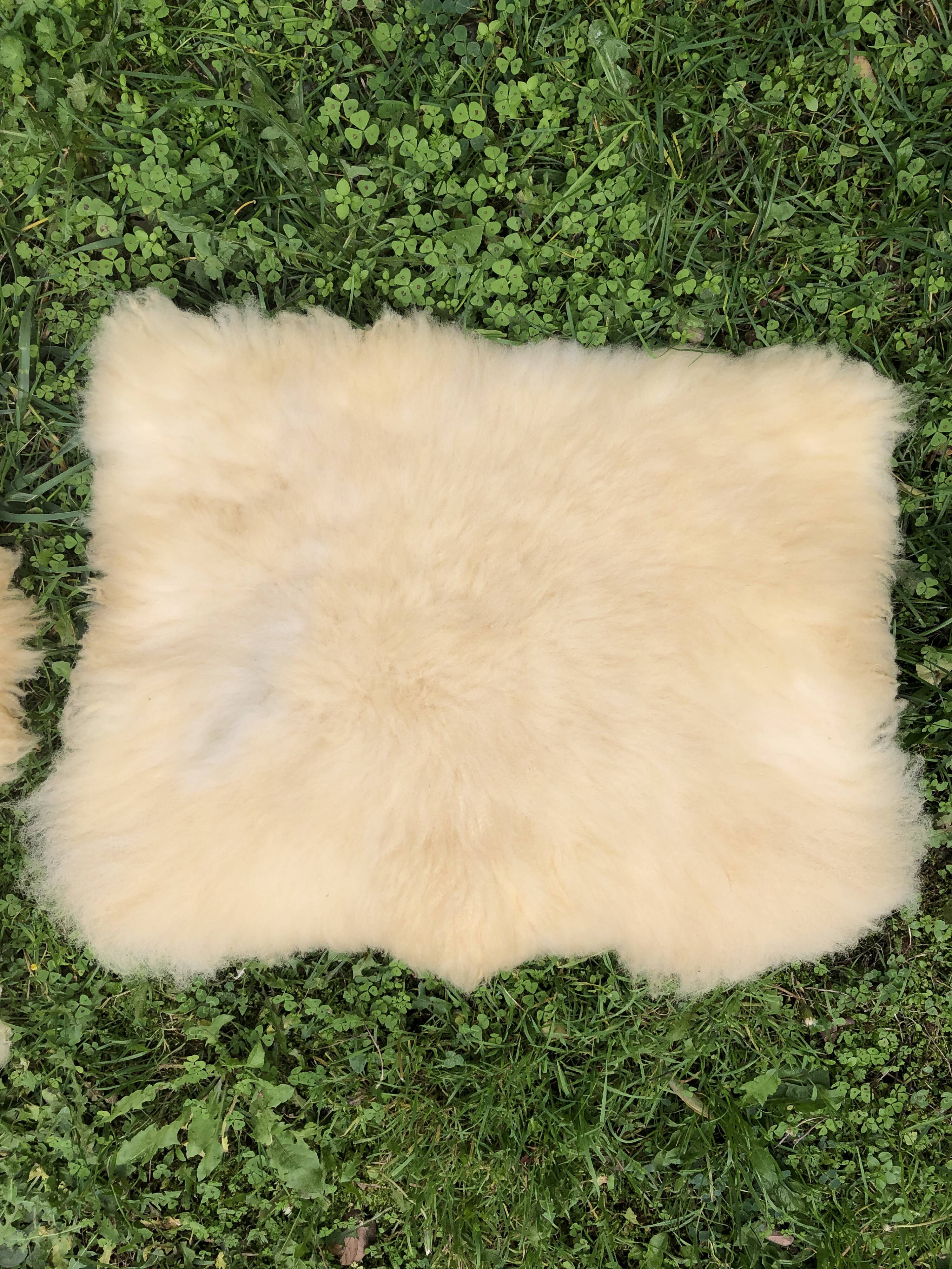 Sheepskins