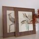 Set of 2 old bird frames, vintage ornithological paintings