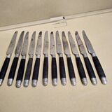 Set de 12 couteaux à dessert argent ébène acier fin XIXeme