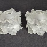 Pair of vintage gooseneck lamp