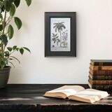 Printed in 1818, coconut tree, walnut and fennel. By Saint-Pierre.