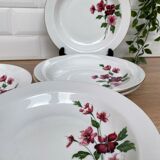 Set of 5 hollow porcelain plates