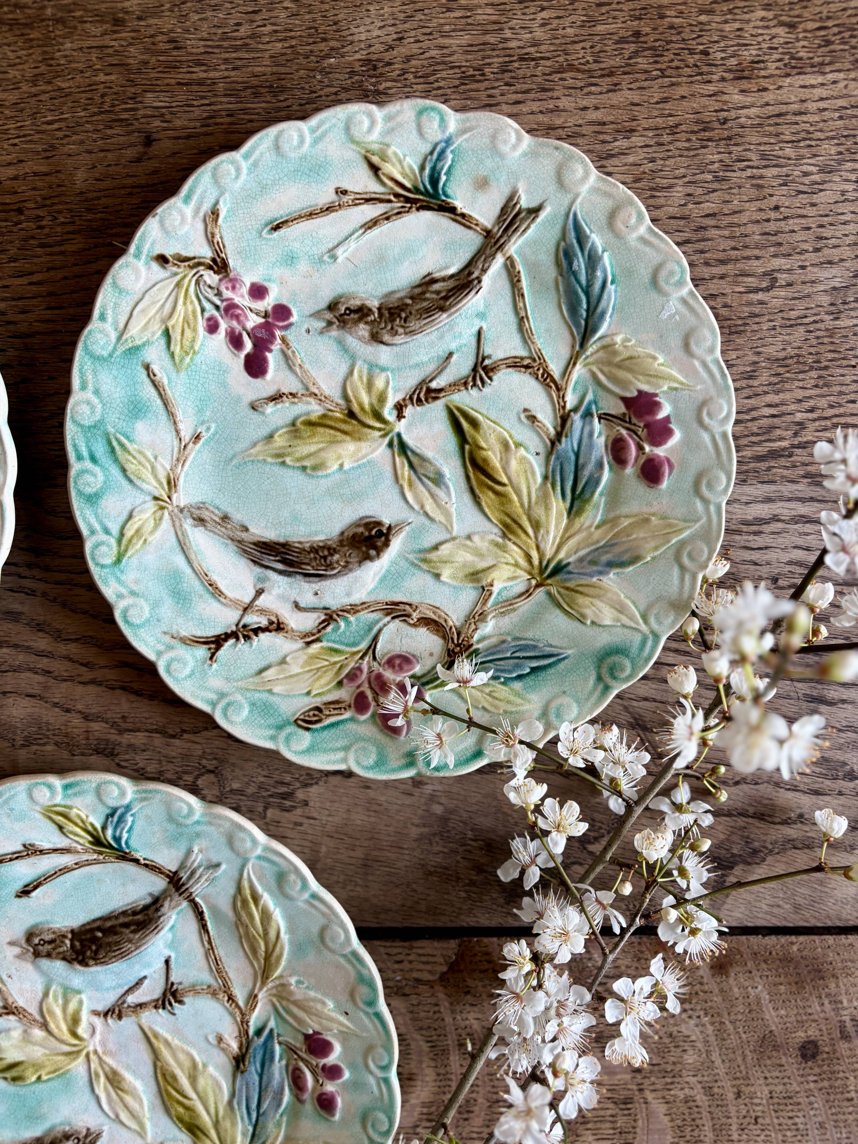 Set of 3 antique plates in majolica with bird designs.