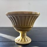 Medici style olive flowerpot