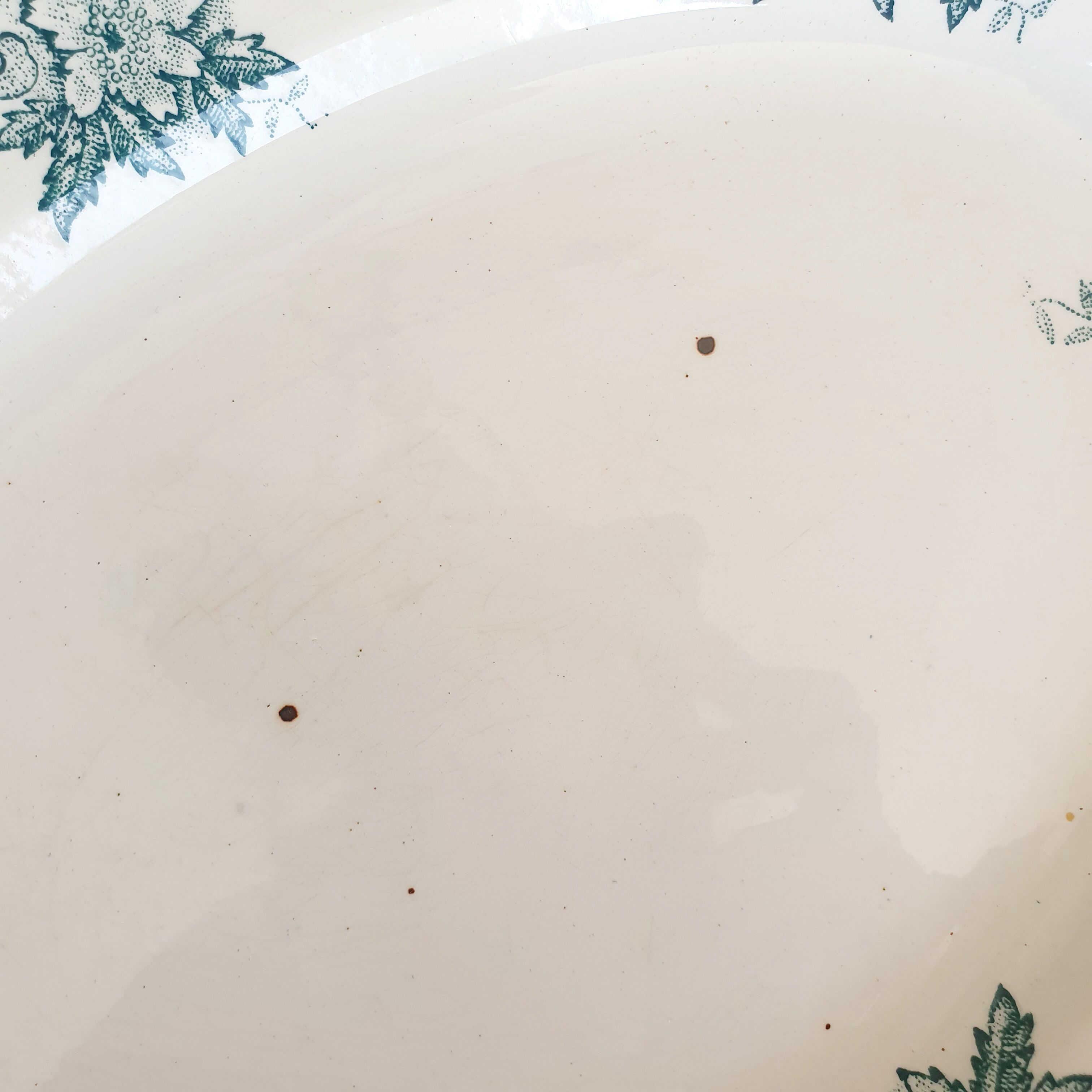 Oval plate model Anemone Iron Earth Saint Amand