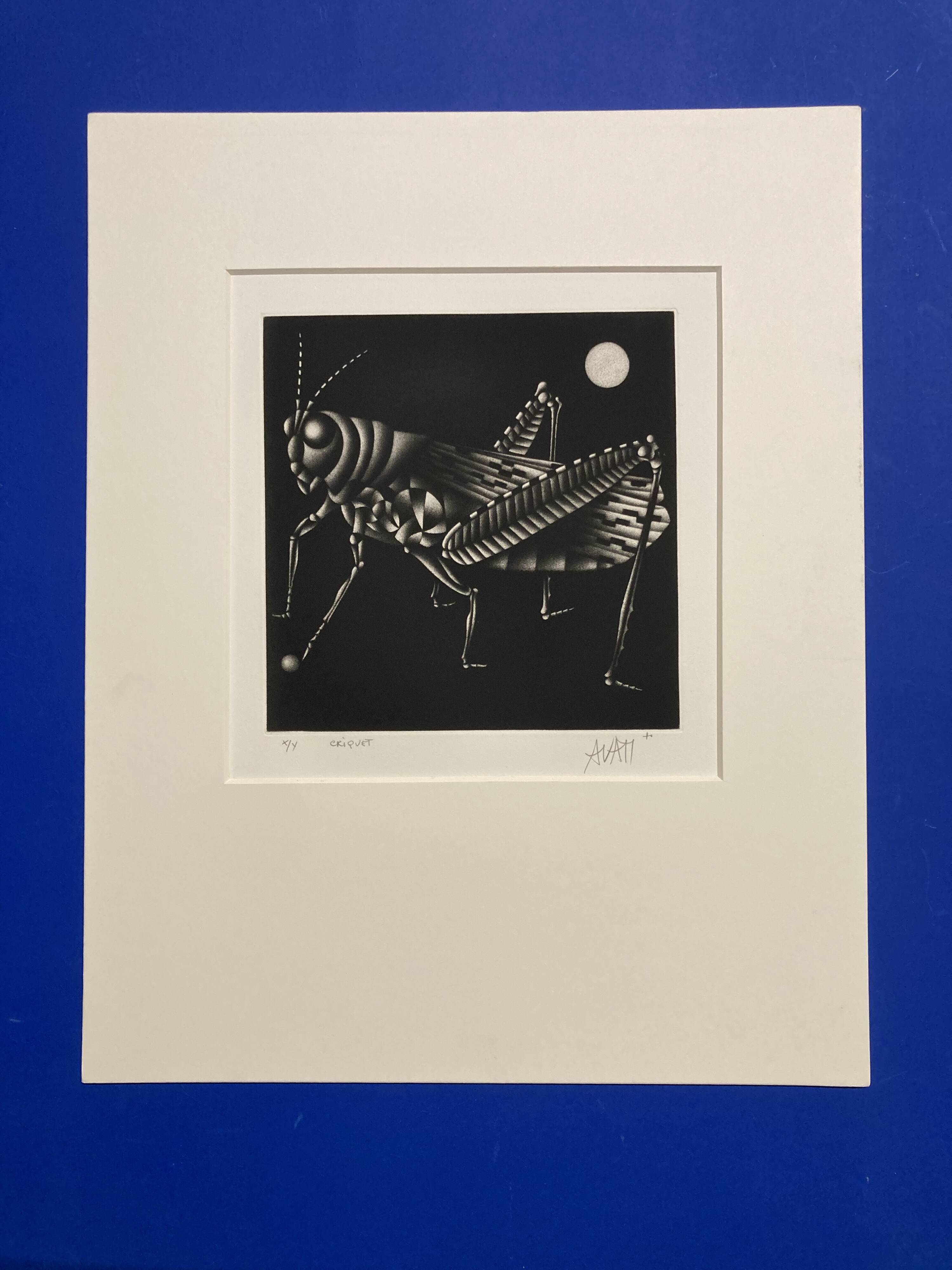 Mario avati (1921-2009), cricket, black manner, 1970