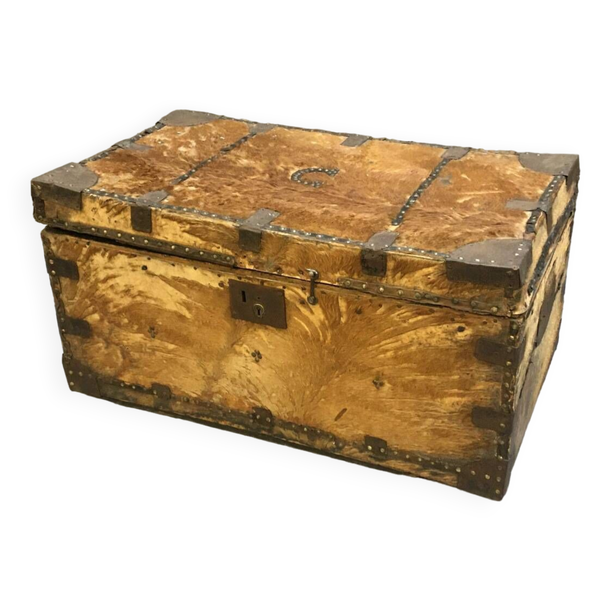 19th Century Studded Trunk