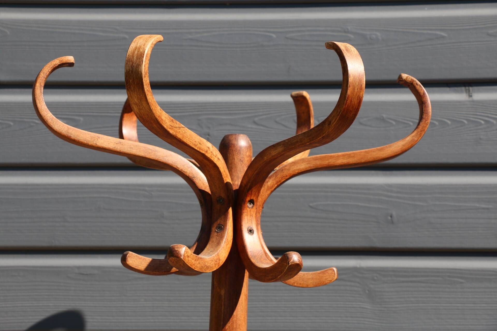 Dark baumann parrot coat rack (a6)