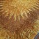 Desso carpet