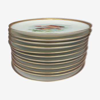 Set 12 assiettes porcelaine poissons bord laurier or Bernardaud