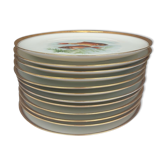 Set 12 assiettes porcelaine poissons bord laurier or Bernardaud