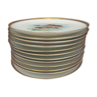 Set 12 plates porcelain fish edge laurel gold Bernardaud