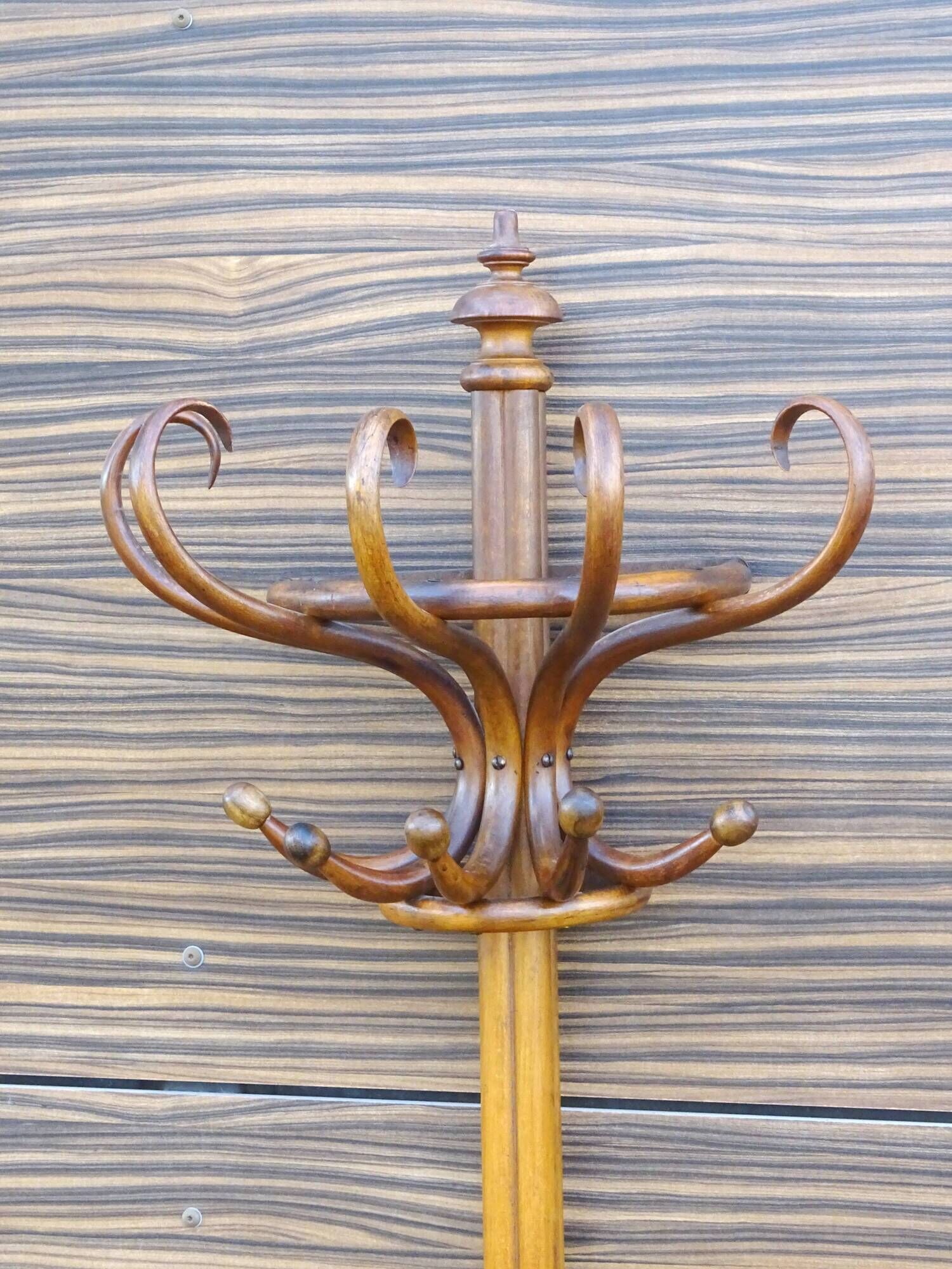 Curved wooden wall coat rack, J&J Kohn Ca.1890 No Thonet