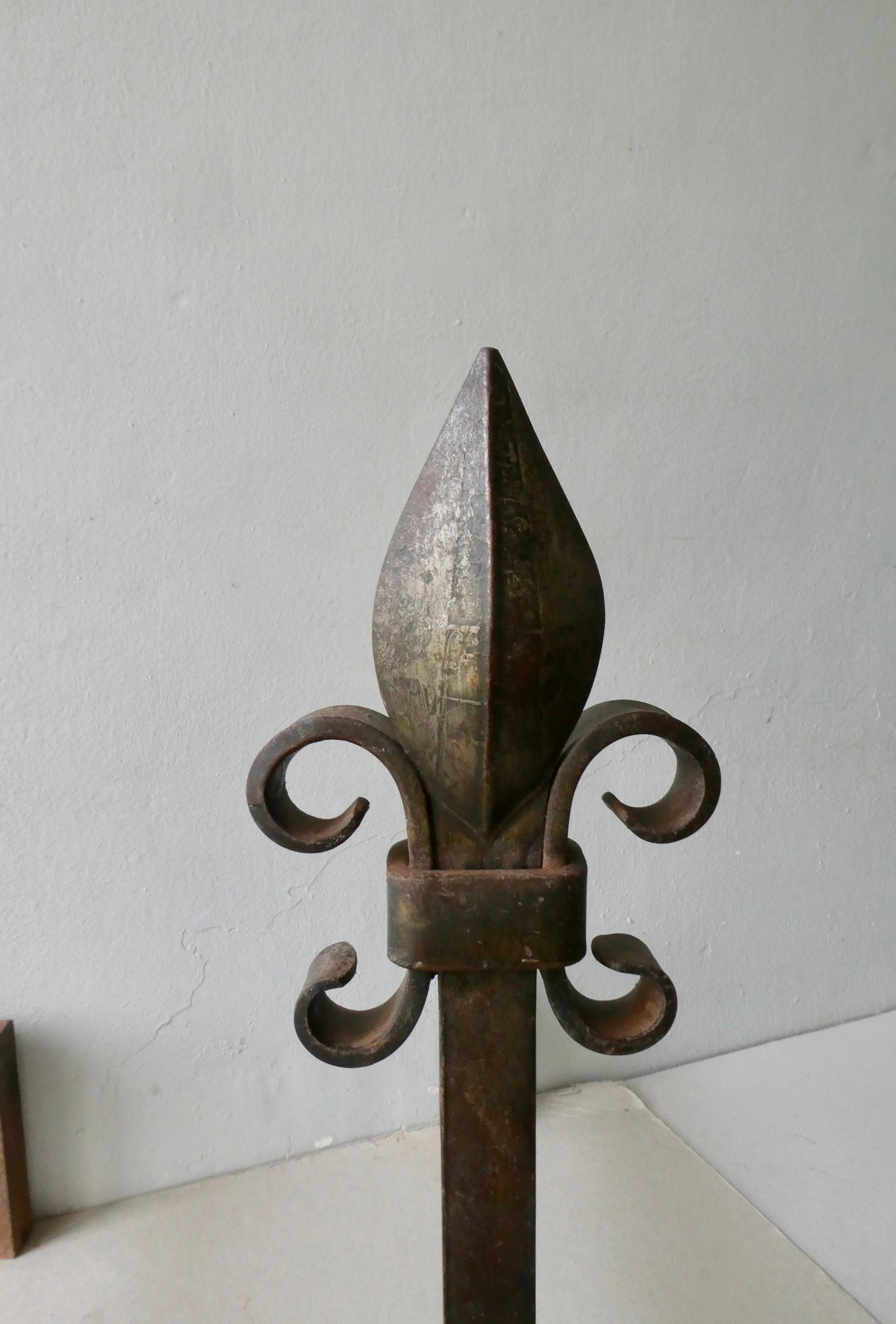 Pair of cast iron and beaten iron chenets, fleurs-de-lis