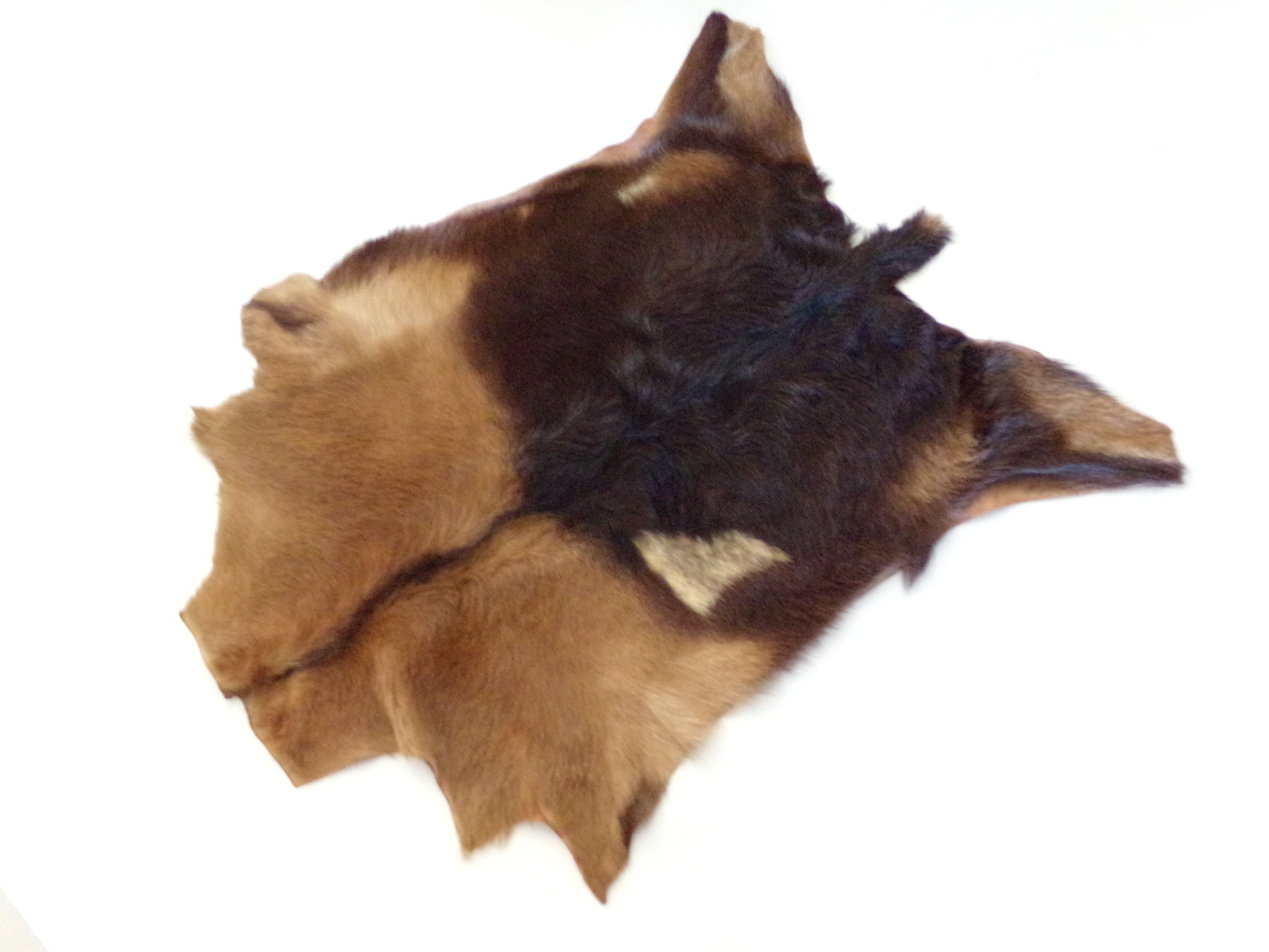Real goat skin