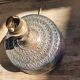 Pied de lampe en céramique