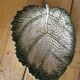 Empty Pocket / Basket / Ceramic Dish Barbotine Cabbage Leaf signed GV