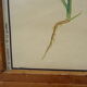 Set of 10 Rossignol posters on plants with frame
