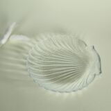Set of plates scallops in glass