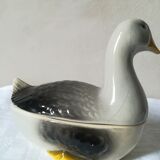 Dish in dabbling with goose