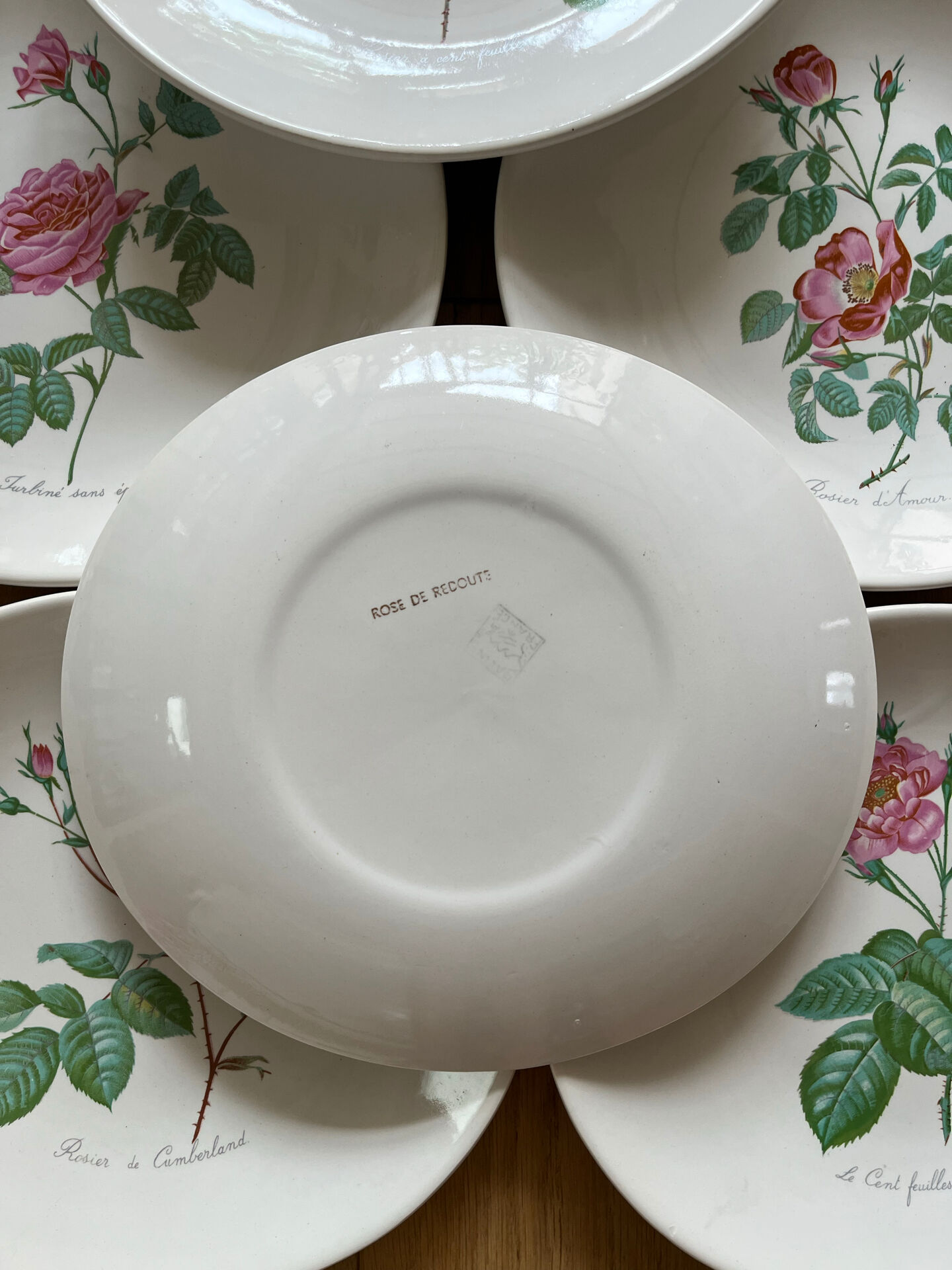 8 earthenware plates Salins - Rose de Redouté