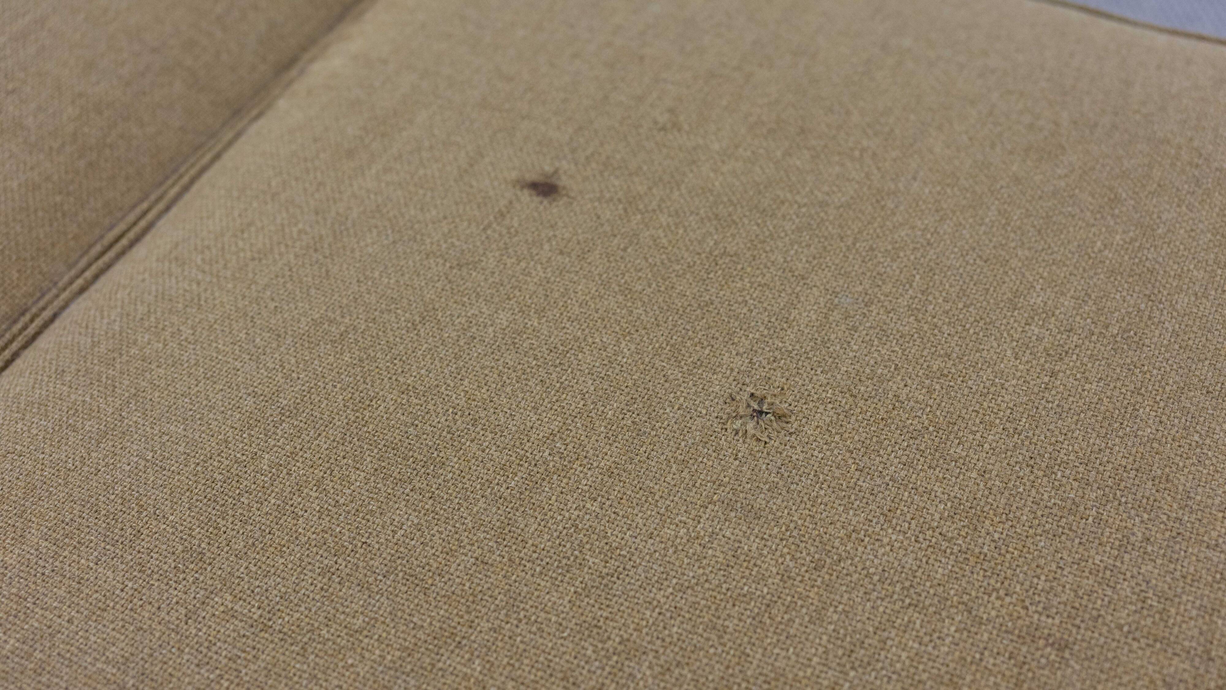 Stella Sofa by Walter Knoll - Wilhelm Knoll, Convertible Daybed 40s/50s