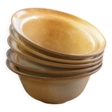Set of 5 "Isidore" bowls