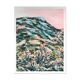 #6 superbloom