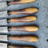 Series of 6 knives steel horn handle