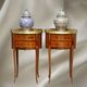 Pair of Bedside Tables / Salon in Marquetry Transition Style Louis XV/Louis XVI