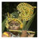 Photographie ancienne colorée Rajasthan vers 1920