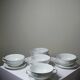 5 cups with two handles, Limoges porcelain Bernardaud "Palm"