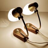 Pair of Scandinavian Lamps, Teak Glass