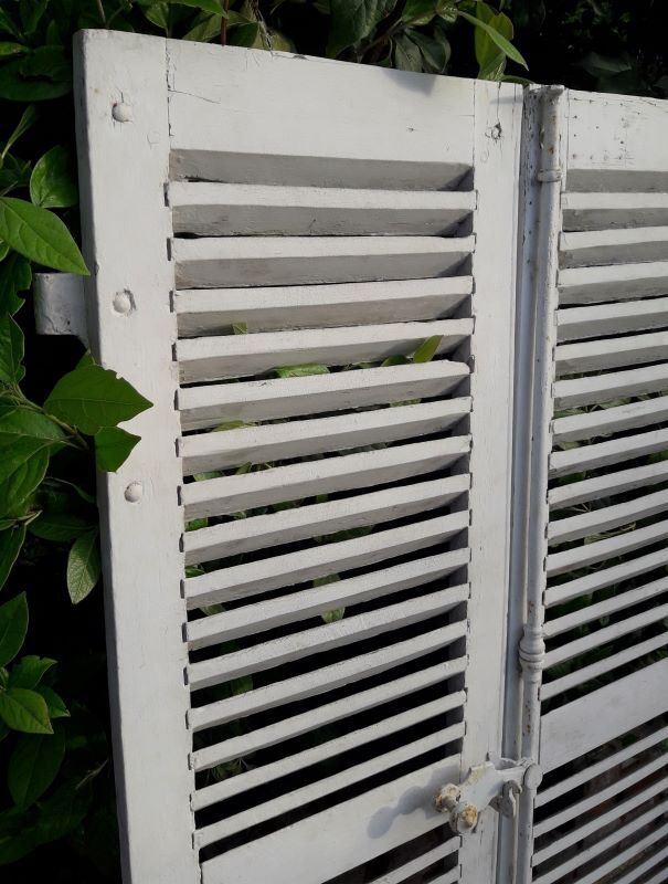 Pair of small shutters