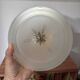 Vintage Art Deco Globe Ceiling Light