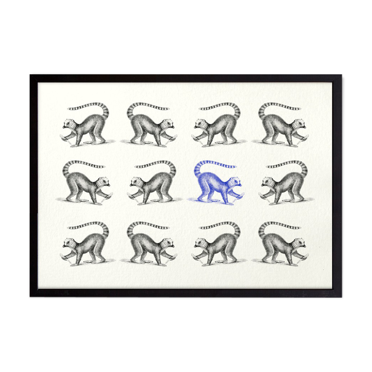 Lemur illustration 1850