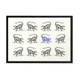 Lemur illustration 1850