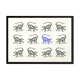 Lemur illustration 1850