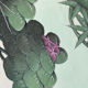 Peinture sur toile oiseaux