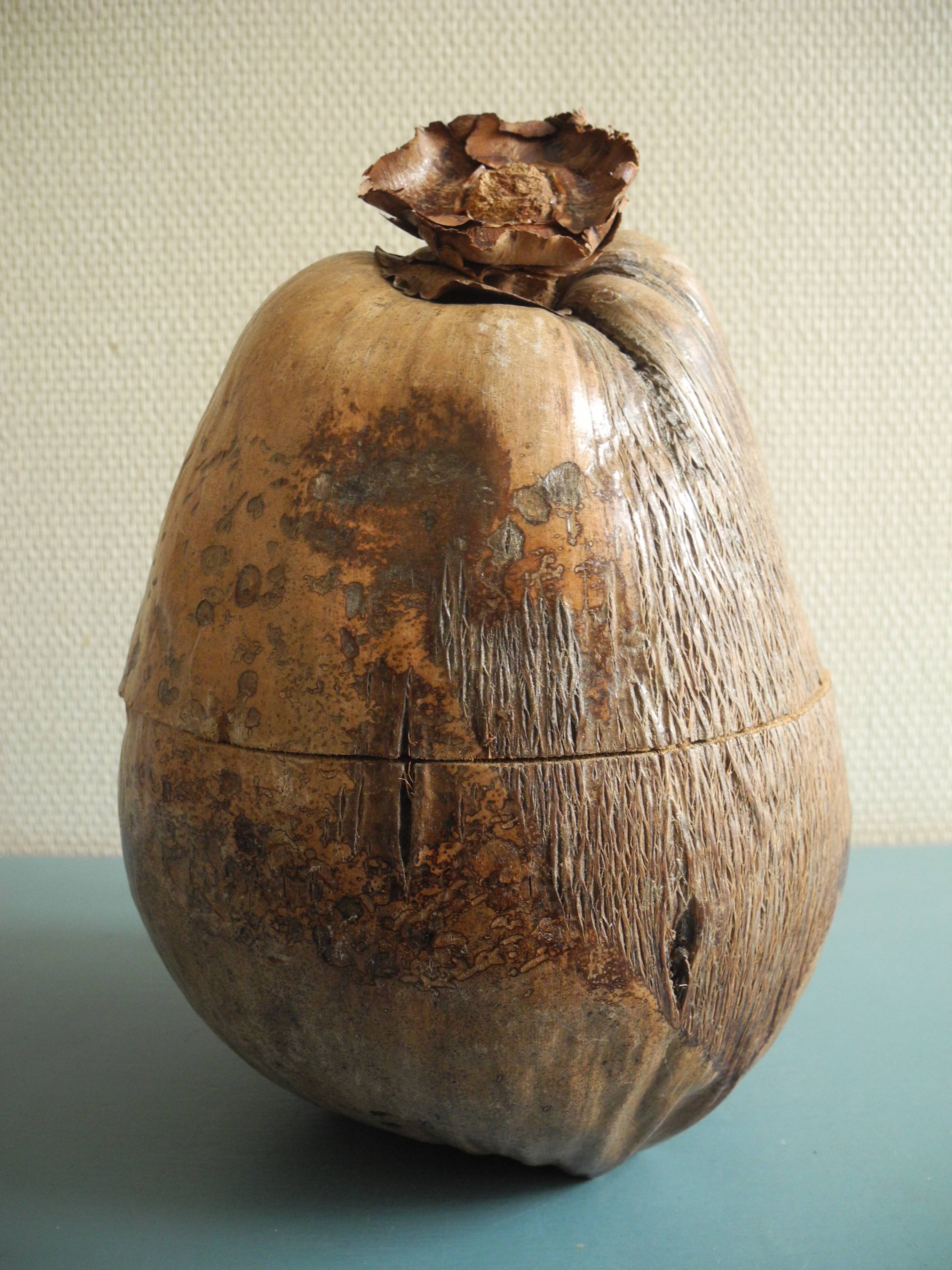 Old coconut ice bucket vintage decor ice bucket coconut 70s