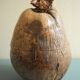 Old coconut ice bucket vintage decor ice bucket coconut 70s