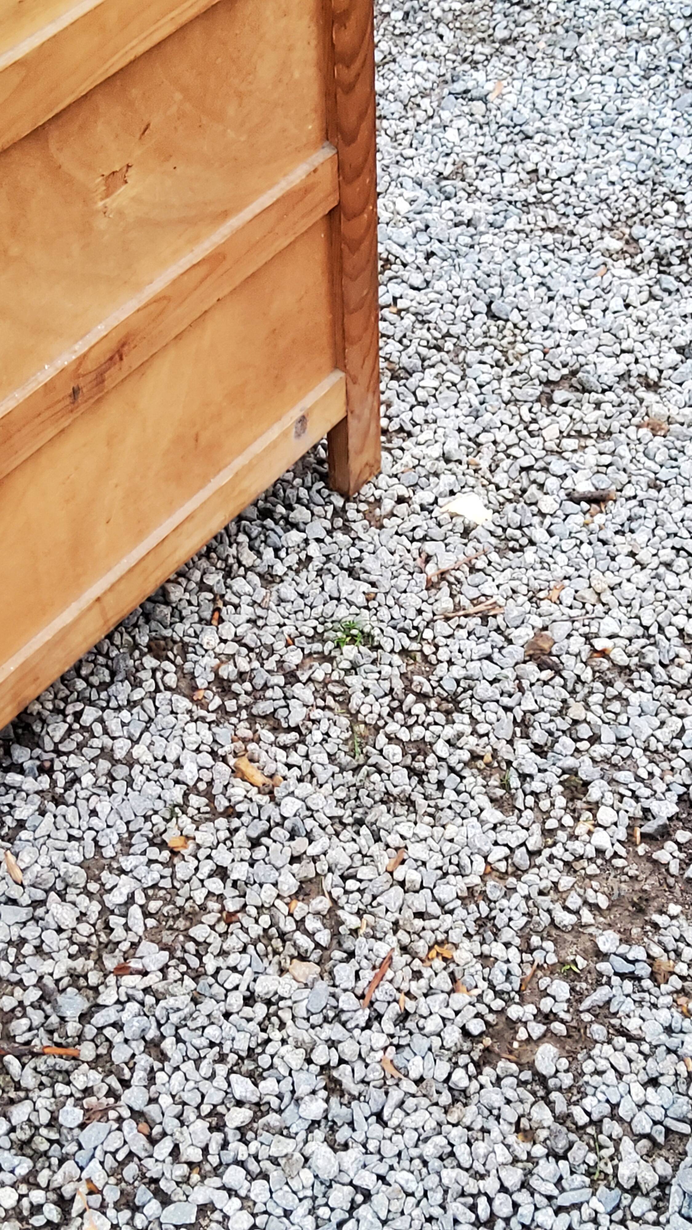 Vintage chest of drawers from the 50s with compass feet and 3 drawers