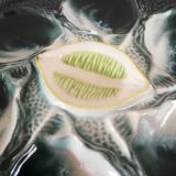 6 oyster plates Saint Clement 4589