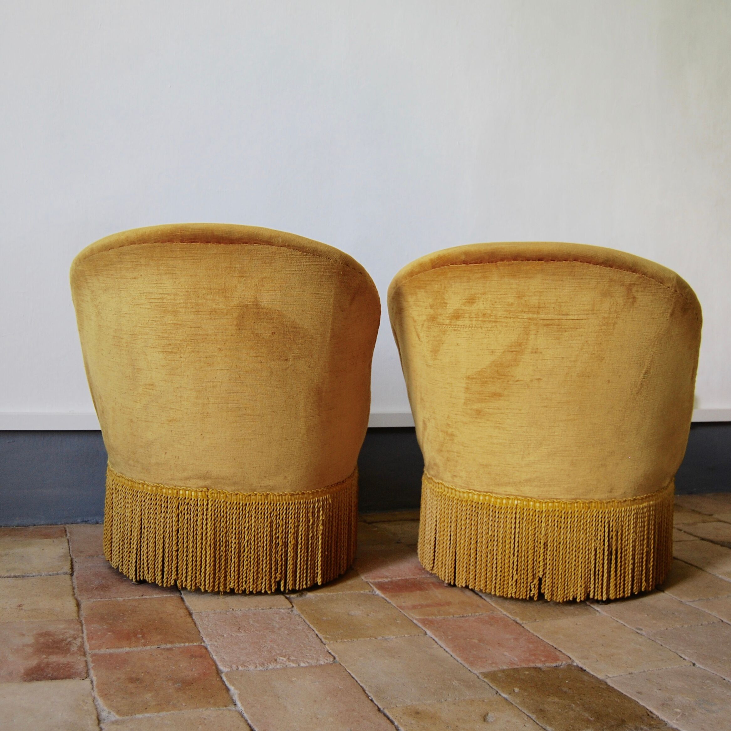 Armchair yellow toad