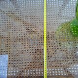 Oval coffee table in rattan and cane, vintage double top.