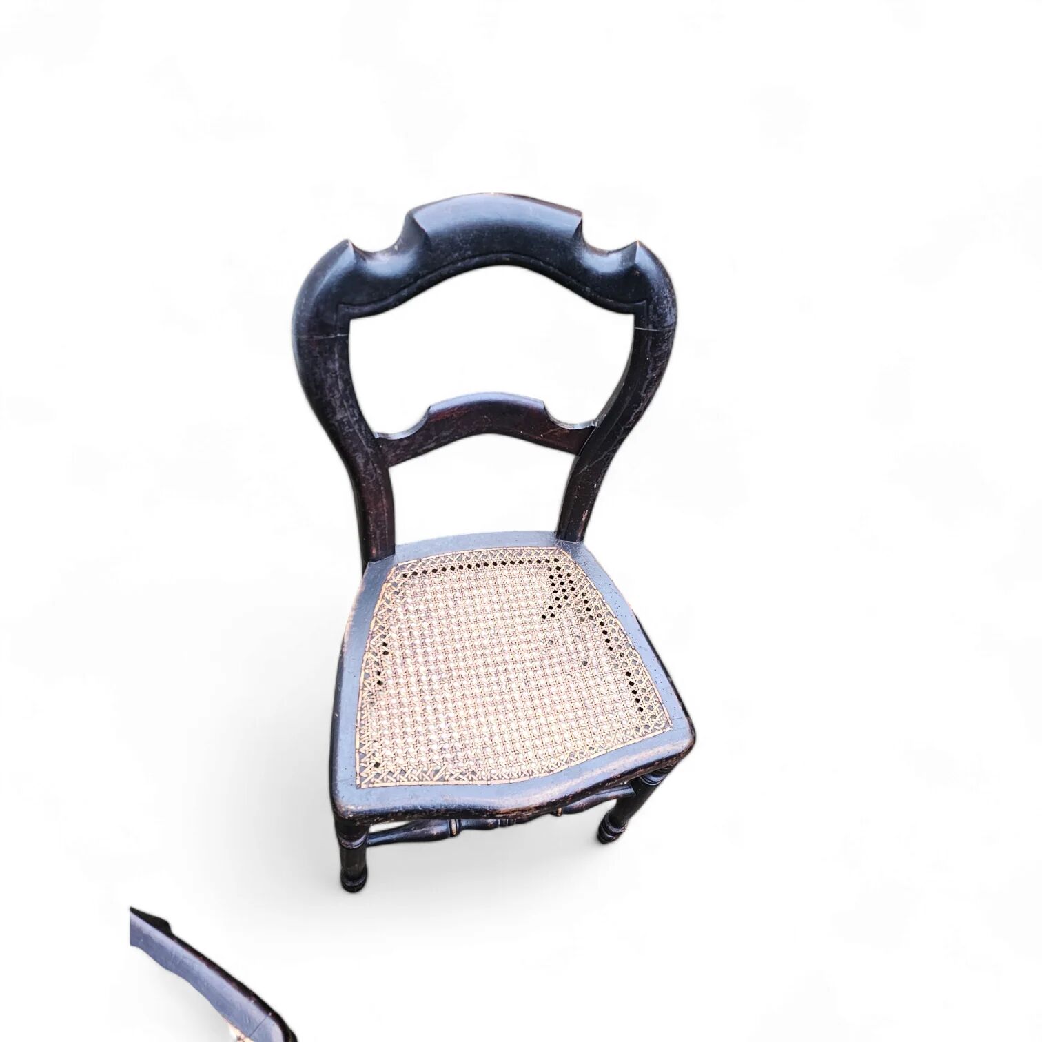 Napoleon III chairs 19th century / dining chairs