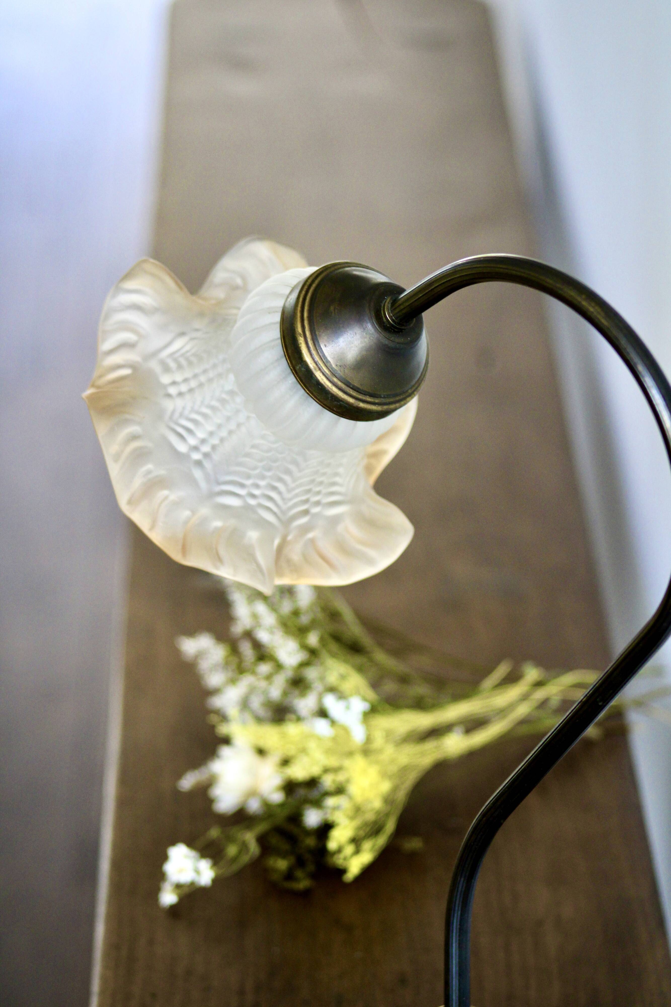 Delmas gooseneck lamp in brass with tulip globe