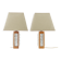 Pair of table lamps in moulded glass and teak Sweden 1960