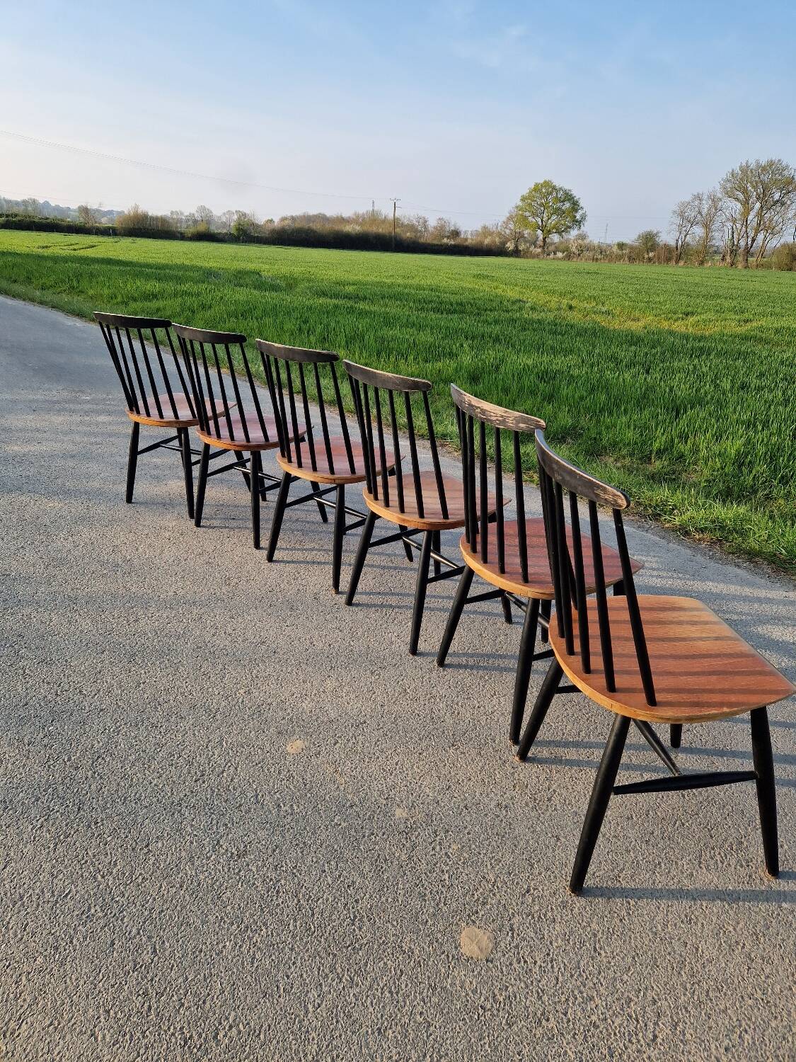 Set of 6 Fannett Scandinavian chairs by Ilmari Tapiovaara 1960.